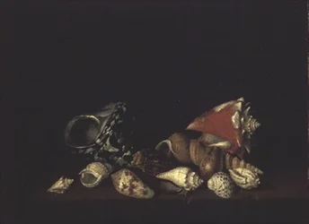 Stillleben mit Muscheln auf einem Sims